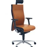 cosinus6009_neu